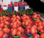 article image - 